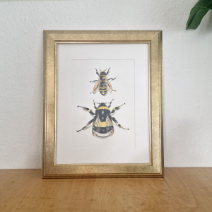 Aquarell & Fineliner auf Aquarellpapier. "Biene & Hummel"